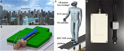 Enhancing emotion regulation: investigating the efficacy of transcutaneous electrical acupoint stimulation at PC6 in reducing fear of heights